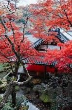18年德国世界杯穆勒-穆勒在2018年德国世界杯的闪耀时刻