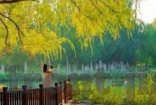 足球比分直播的网站-足球比分直播网站，球迷的实时战场与信息枢纽